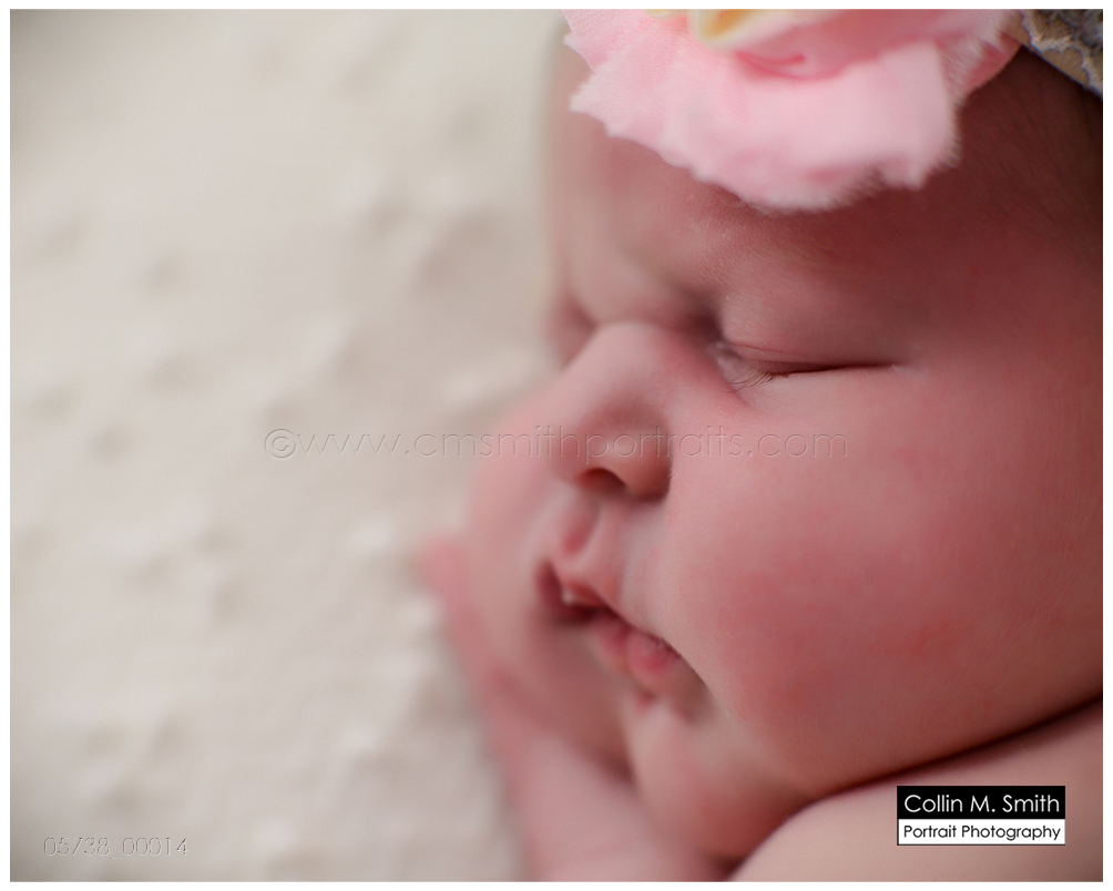 © Collin M. Smith Portrait Photography www.cmsmithportraits.com/blog